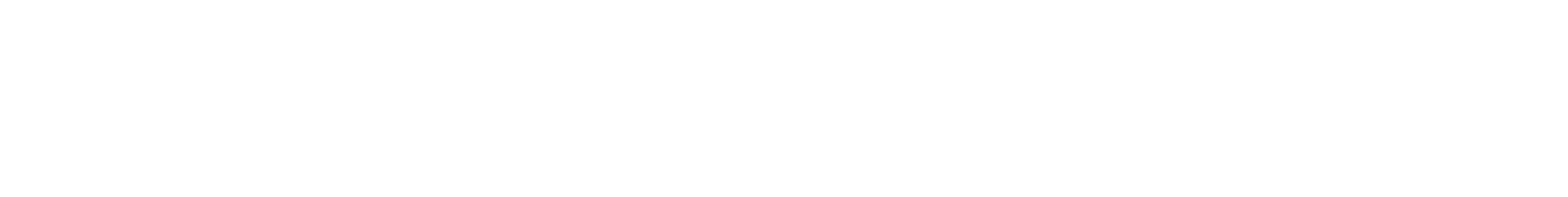 Baucor Logo Italian